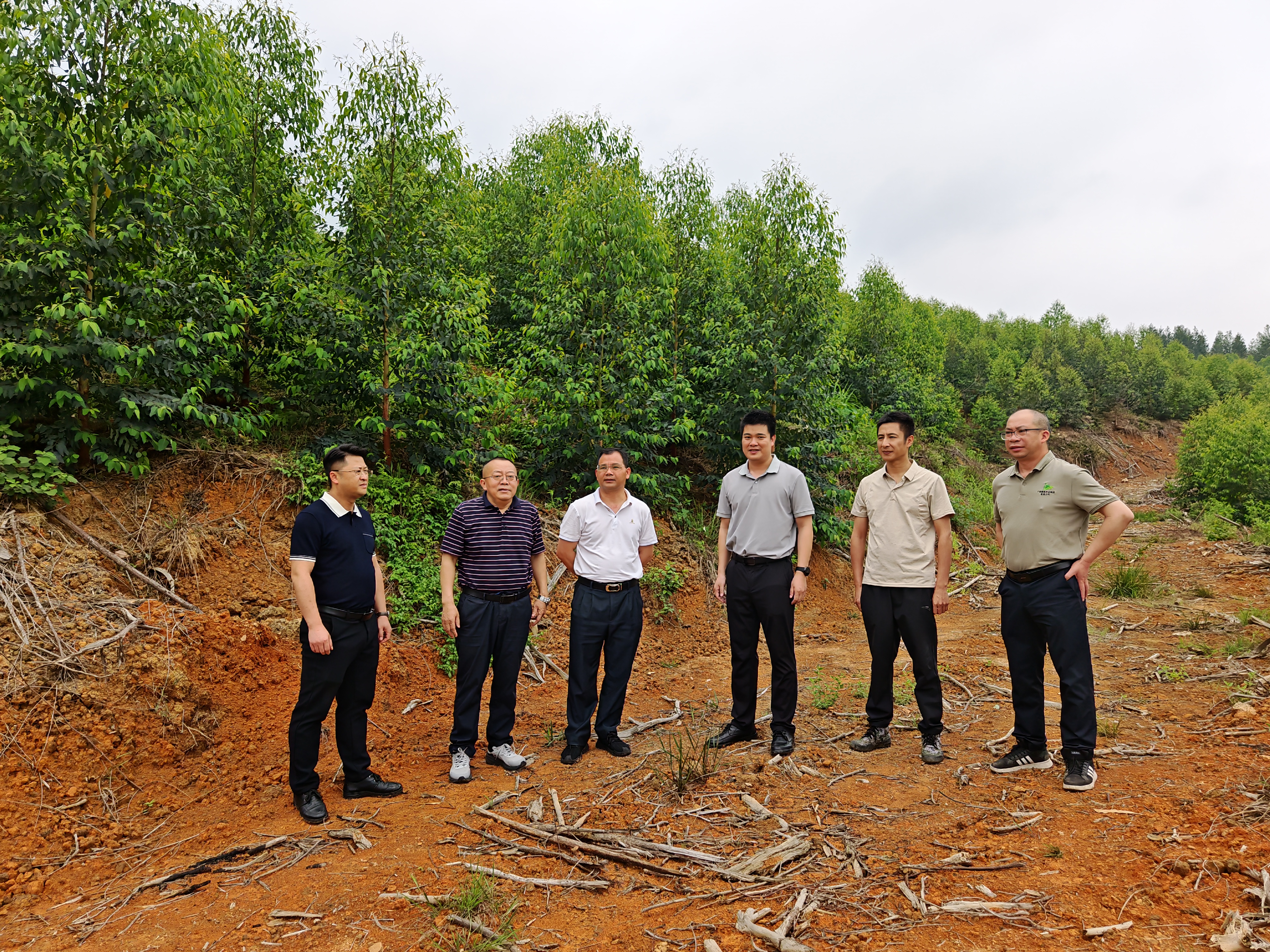 深刻一线察实情，，，，，，，，精准领导促发展 —— 韦宏、张泽尧赴集团沉点林区调研领导工作