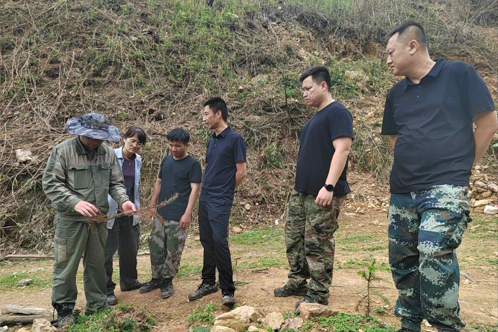 集团副总经理周律相到鹿晟公司新造林地查抄领导工作
