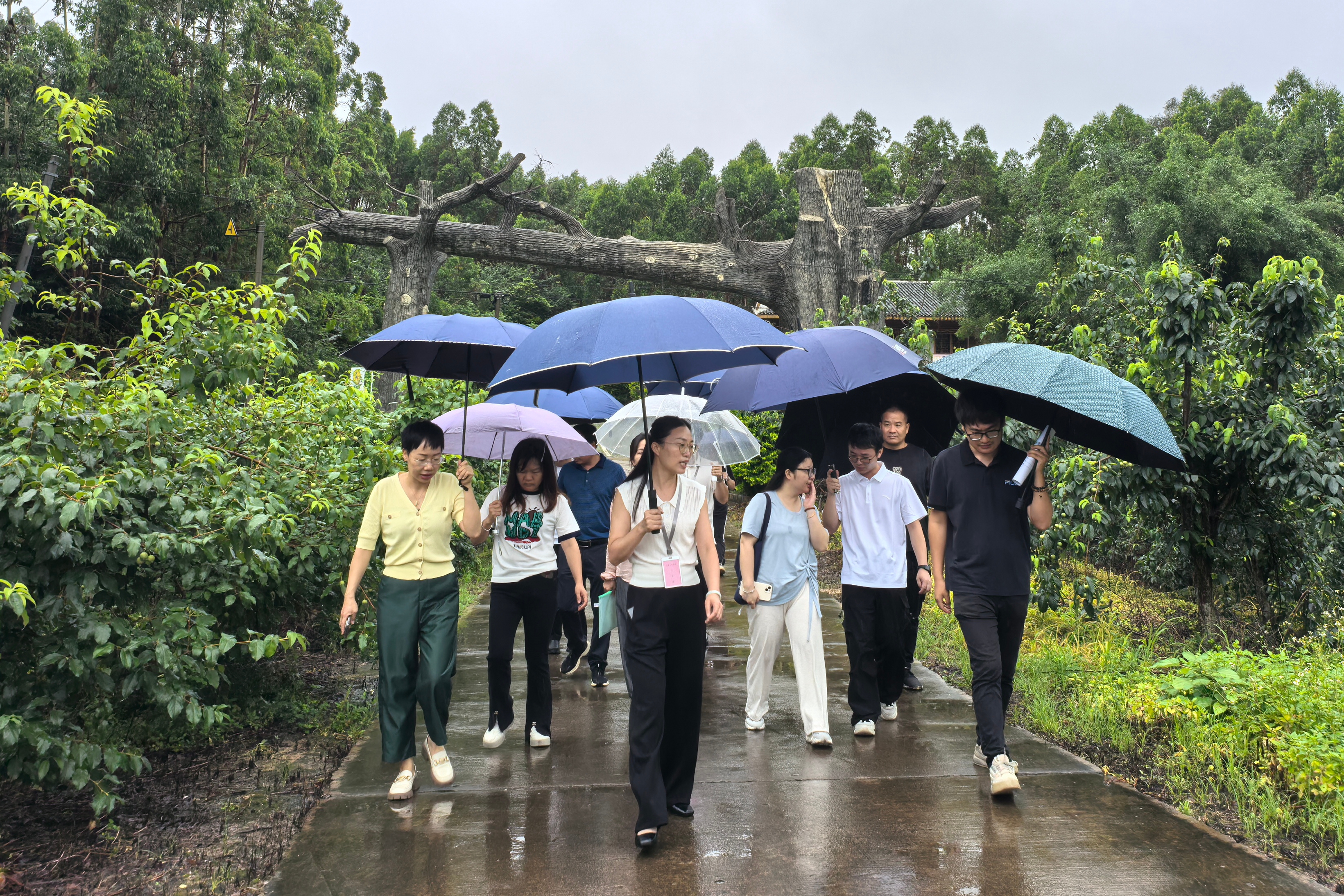 视注县结合复核组到“山楂之恋”景区发展AAA级游览景区复核工作