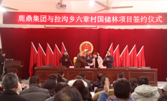 luck18xinli林业集团与拉沟乡就国储林项目首单签约