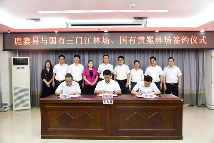 我场与鹿寨县、黄冕林场签定国度储蓄林建设等项目合作框架和谈