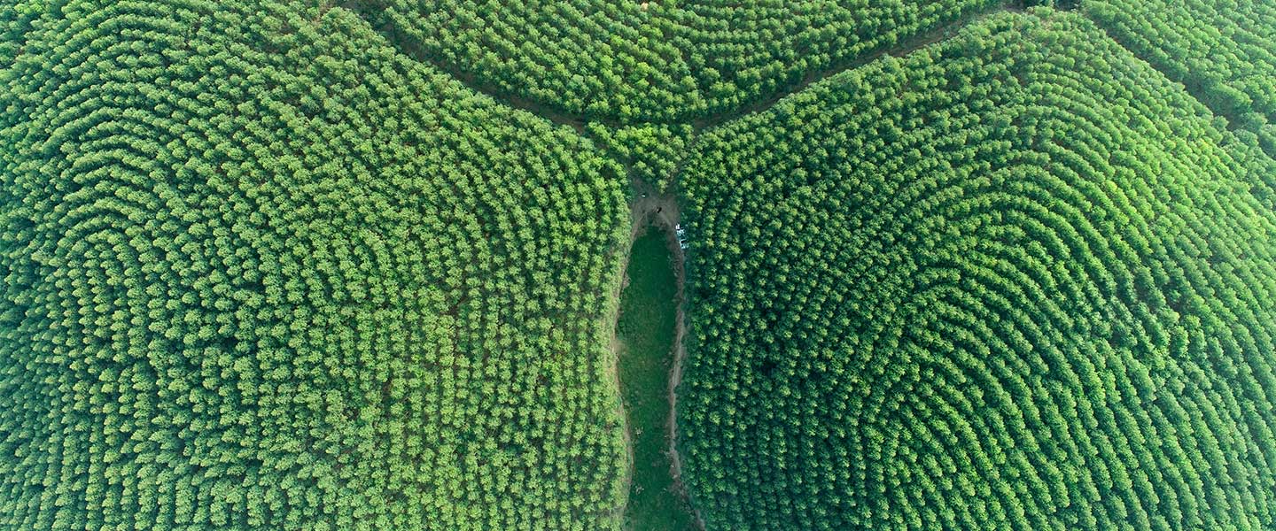 luck18xinli(中国区)-官方网站