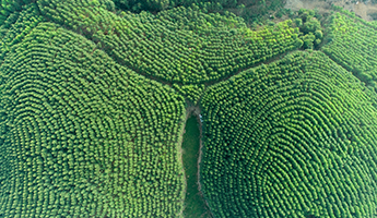 luck18xinli(中国区)-官方网站