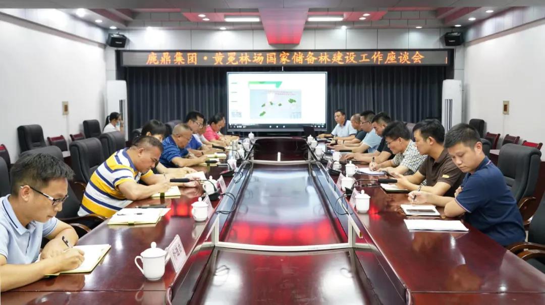 luck18xinli林业集团与黄冕林场座谈互换国储林建设工作