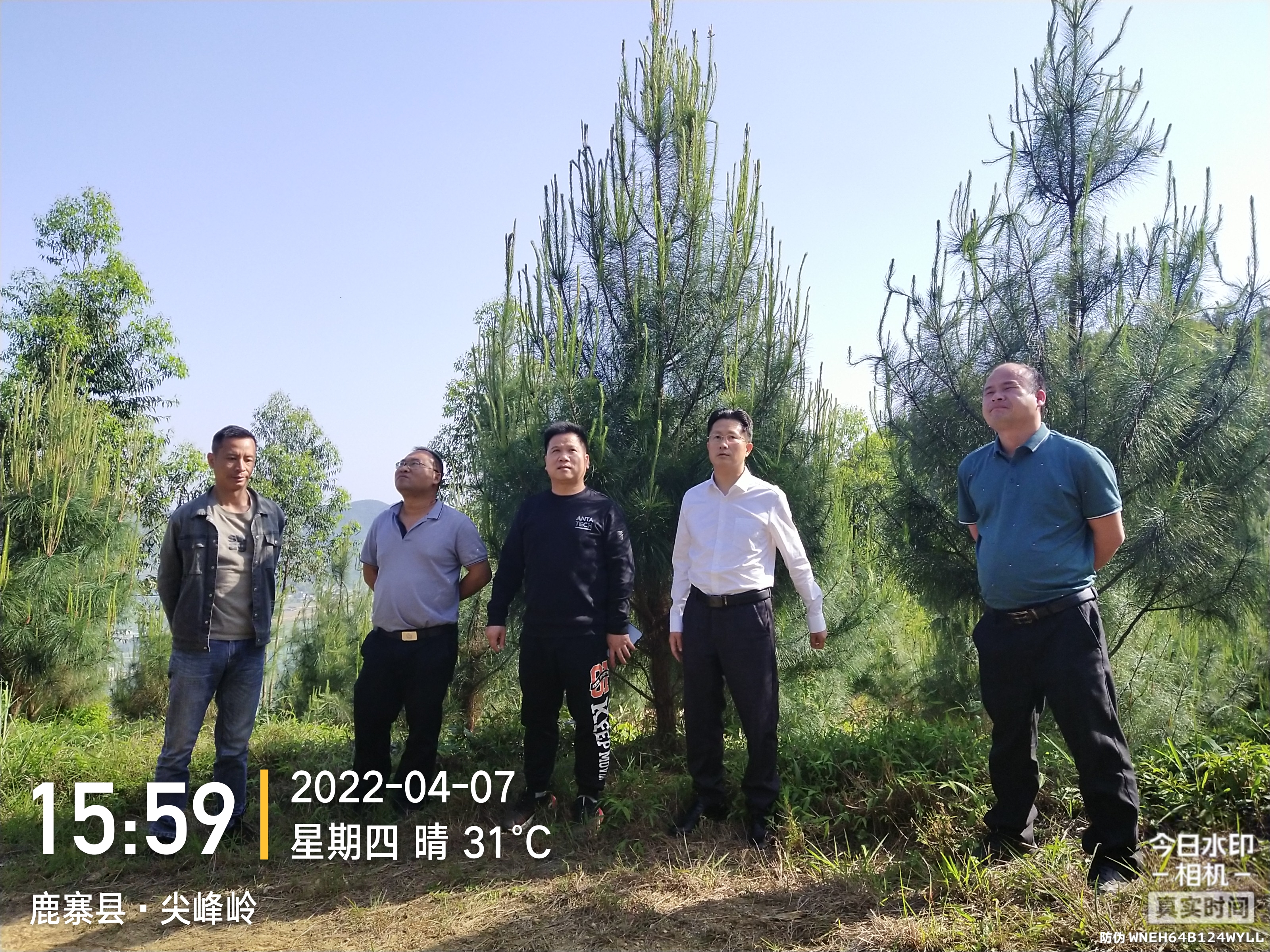 集团副董事长肖崇福深刻基层督促造林备耕工作