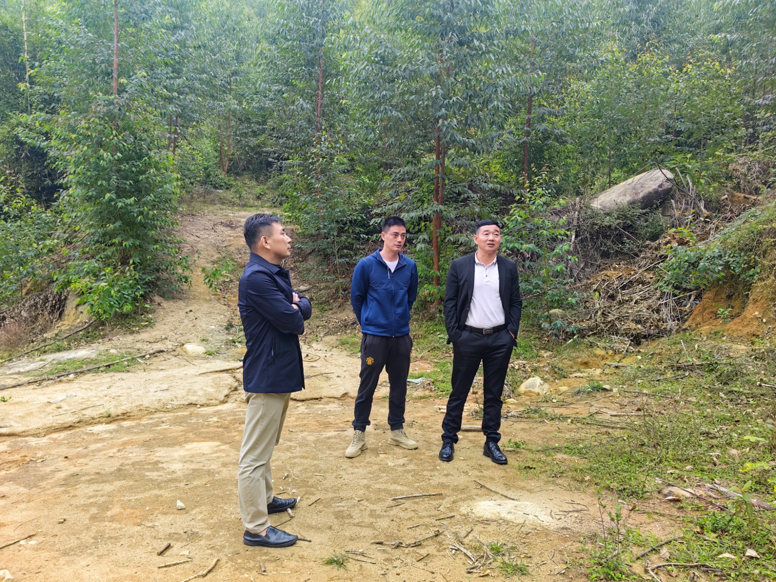 董事长谢春俊到林芝分公司领导补植补种工作