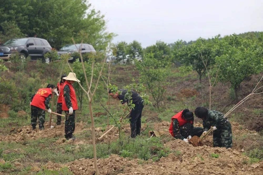 luck18xinli(中国区)-官方网站