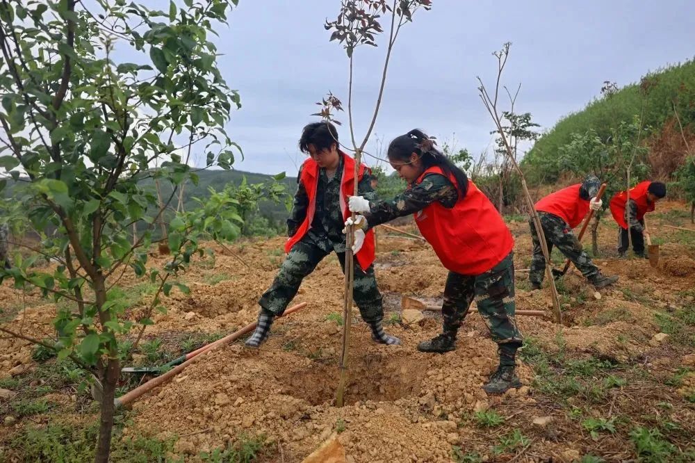 luck18xinli(中国区)-官方网站