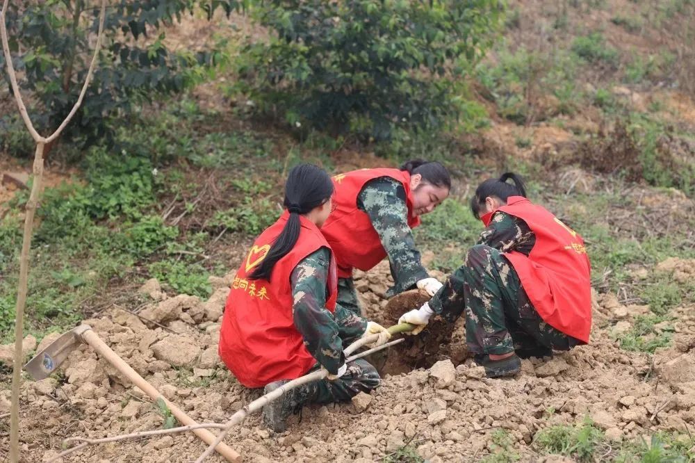 luck18xinli(中国区)-官方网站