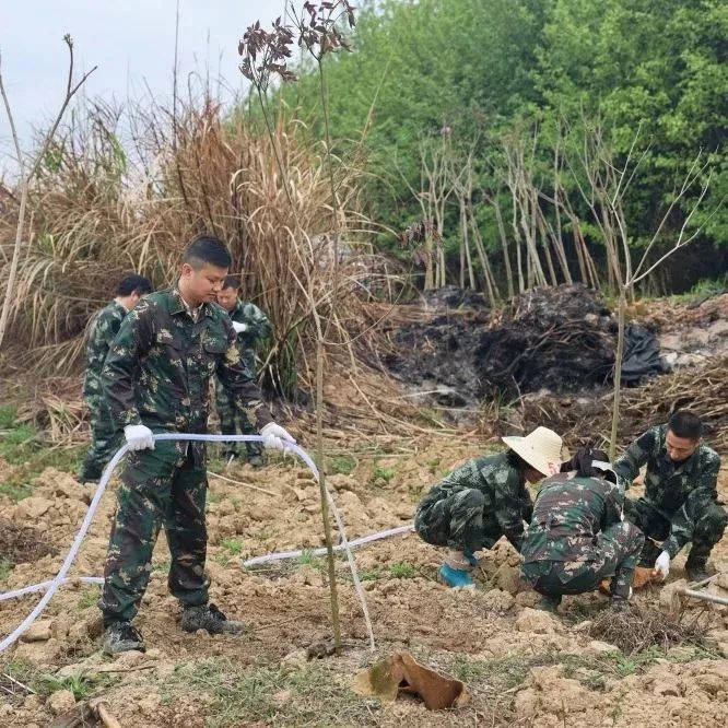 luck18xinli(中国区)-官方网站