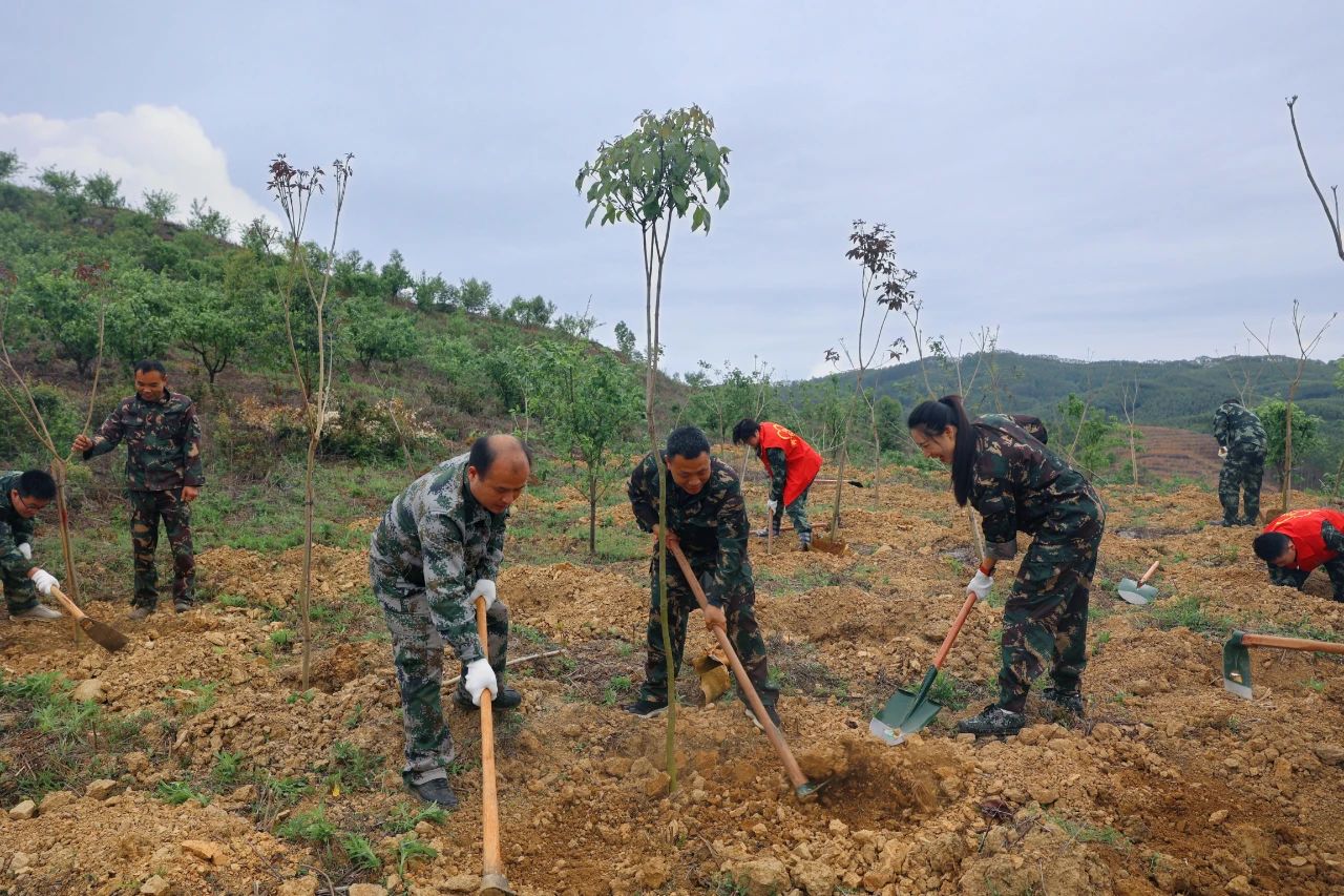 luck18xinli(中国区)-官方网站