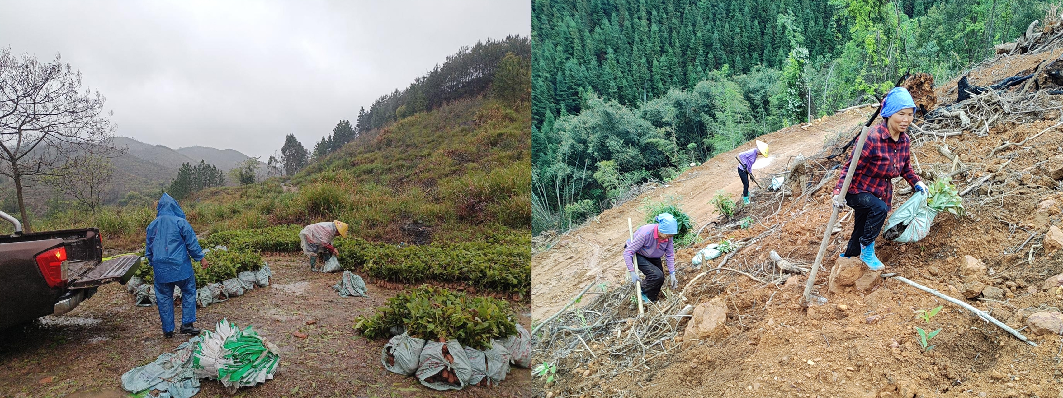 luck18xinli(中国区)-官方网站