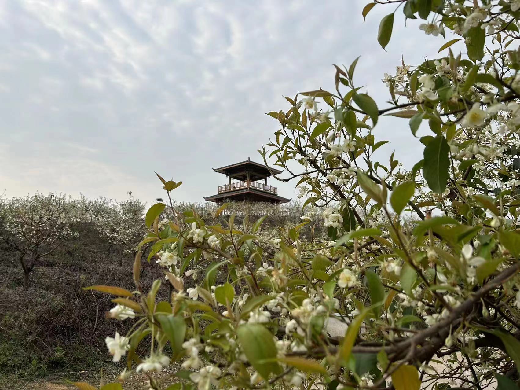 luck18xinli(中国区)-官方网站