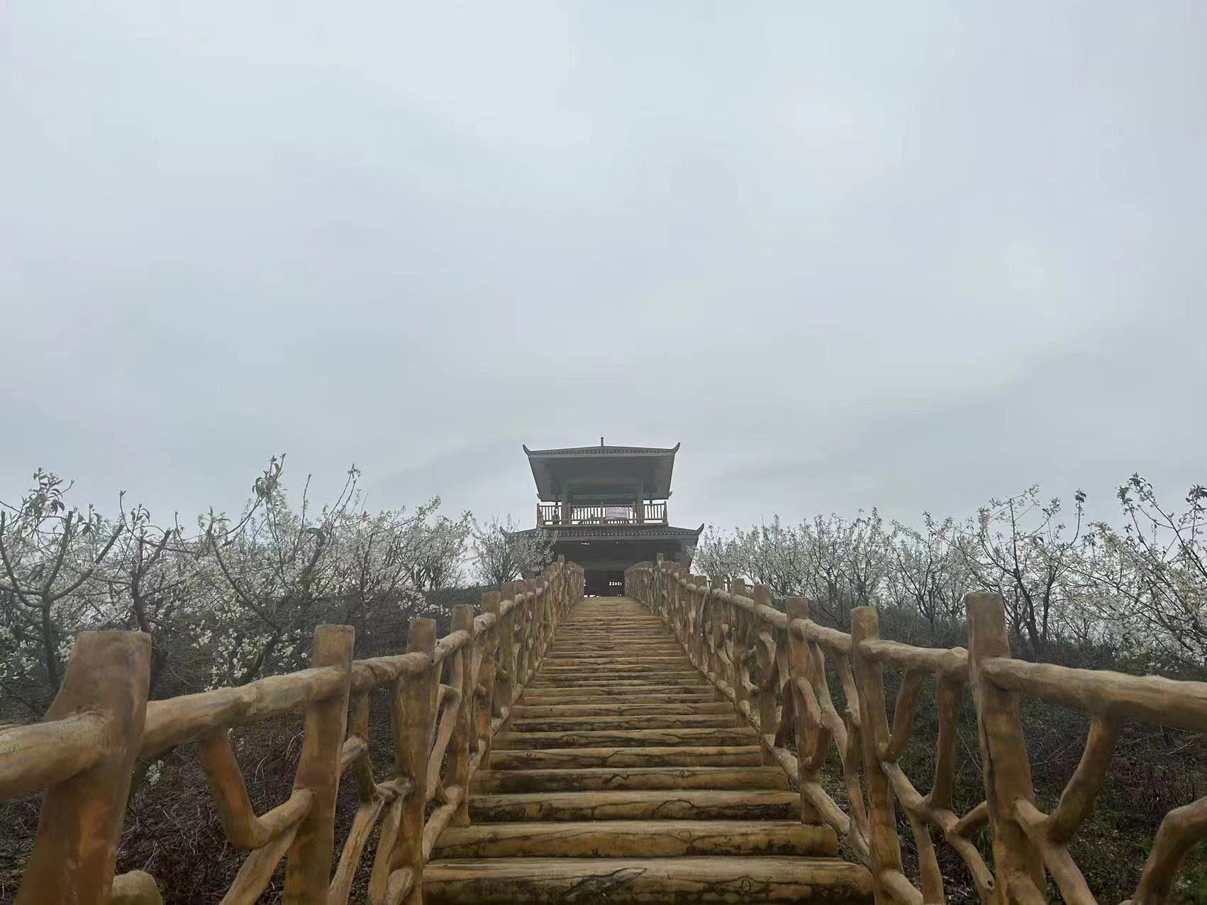 luck18xinli(中国区)-官方网站