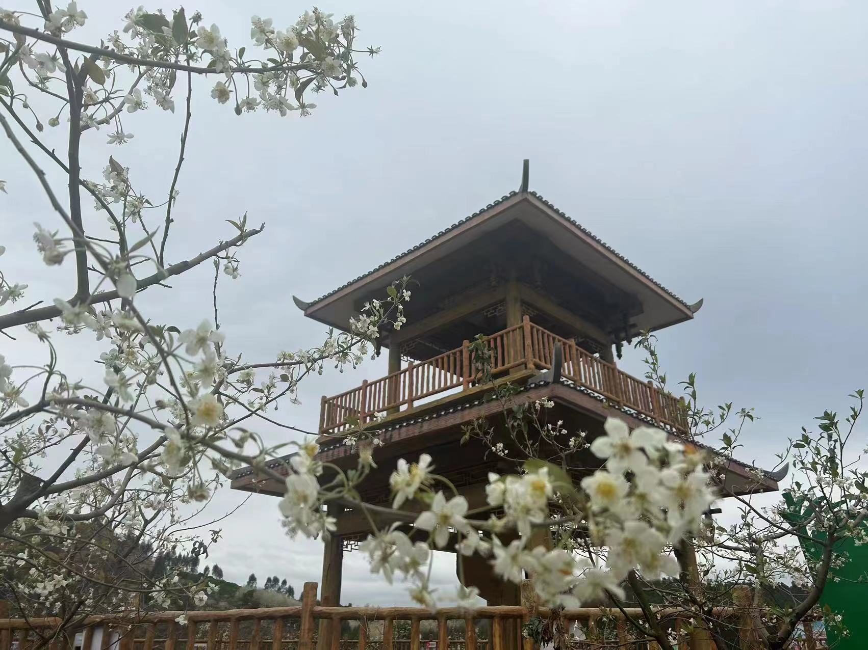 luck18xinli(中国区)-官方网站