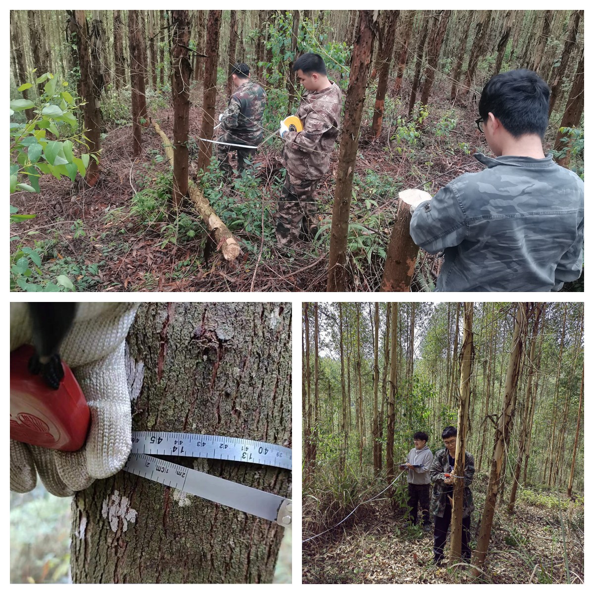 luck18xinli(中国区)-官方网站