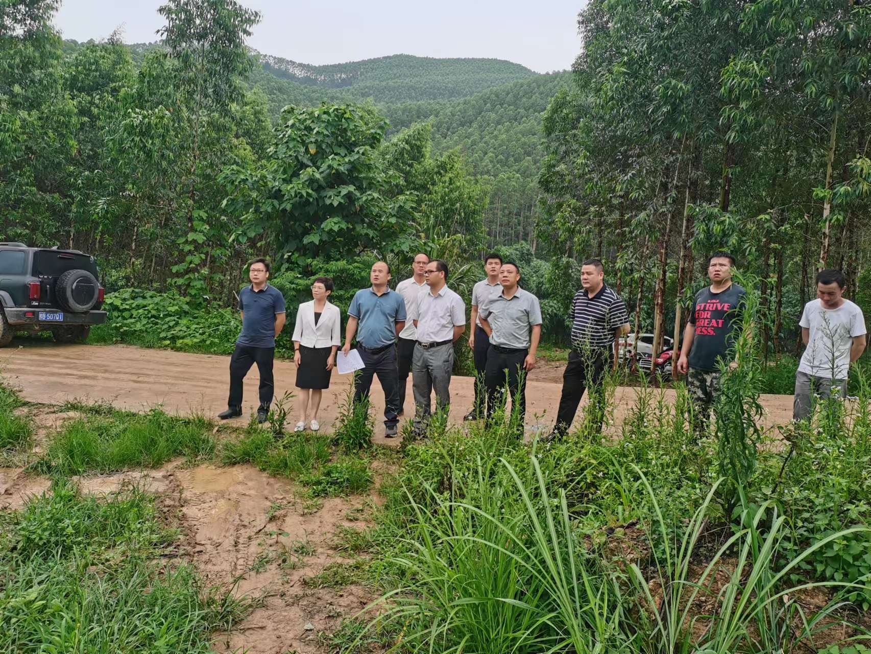 luck18xinli(中国区)-官方网站