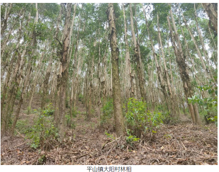 luck18xinli(中国区)-官方网站