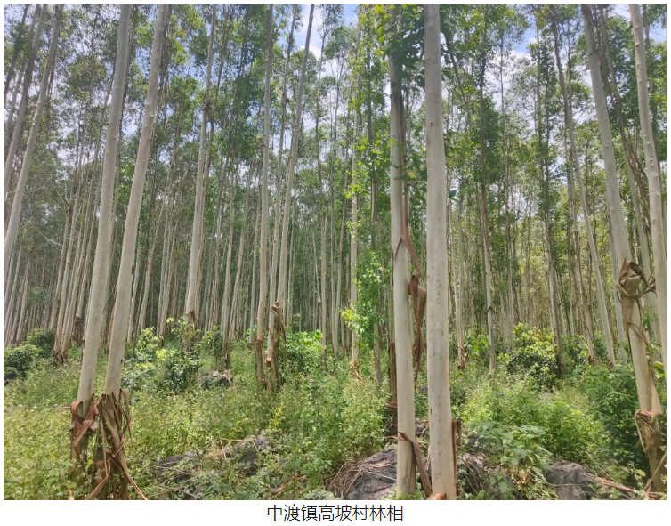 luck18xinli(中国区)-官方网站