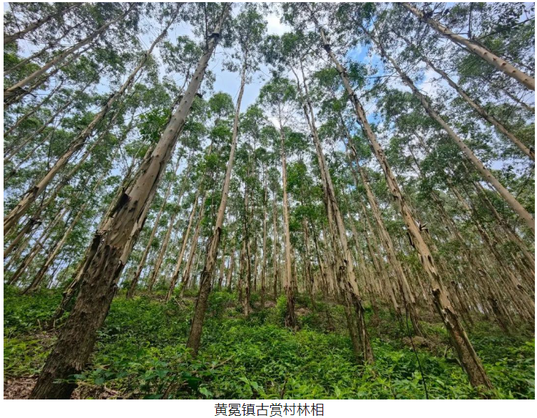 luck18xinli(中国区)-官方网站