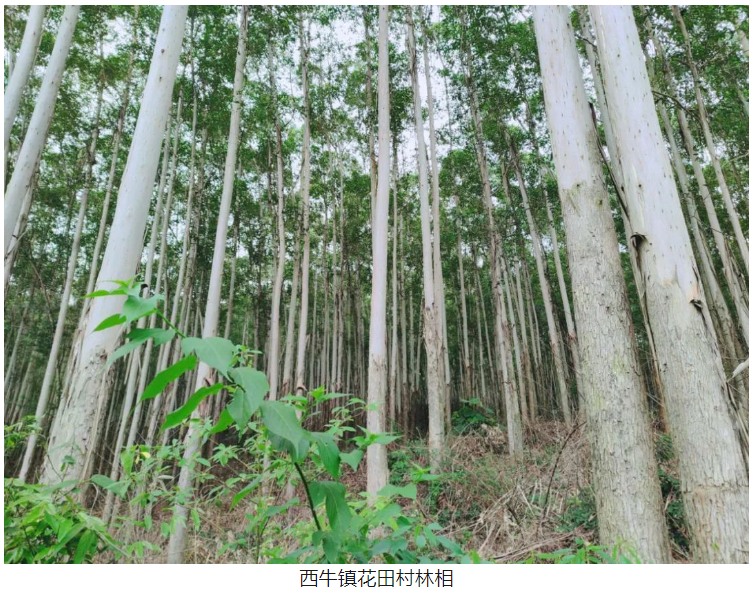 luck18xinli(中国区)-官方网站