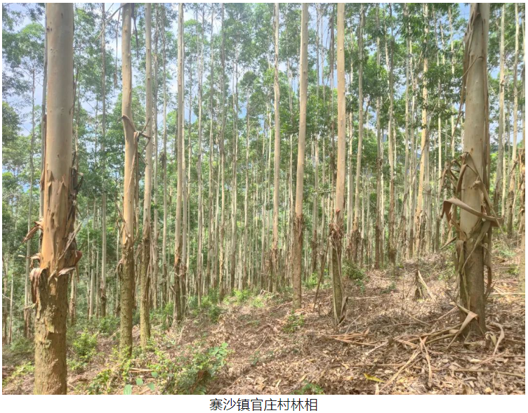 luck18xinli(中国区)-官方网站