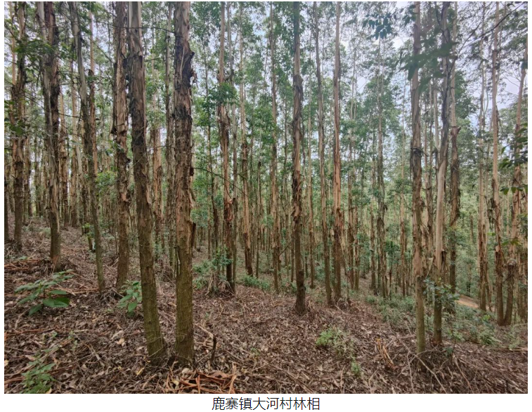 luck18xinli(中国区)-官方网站