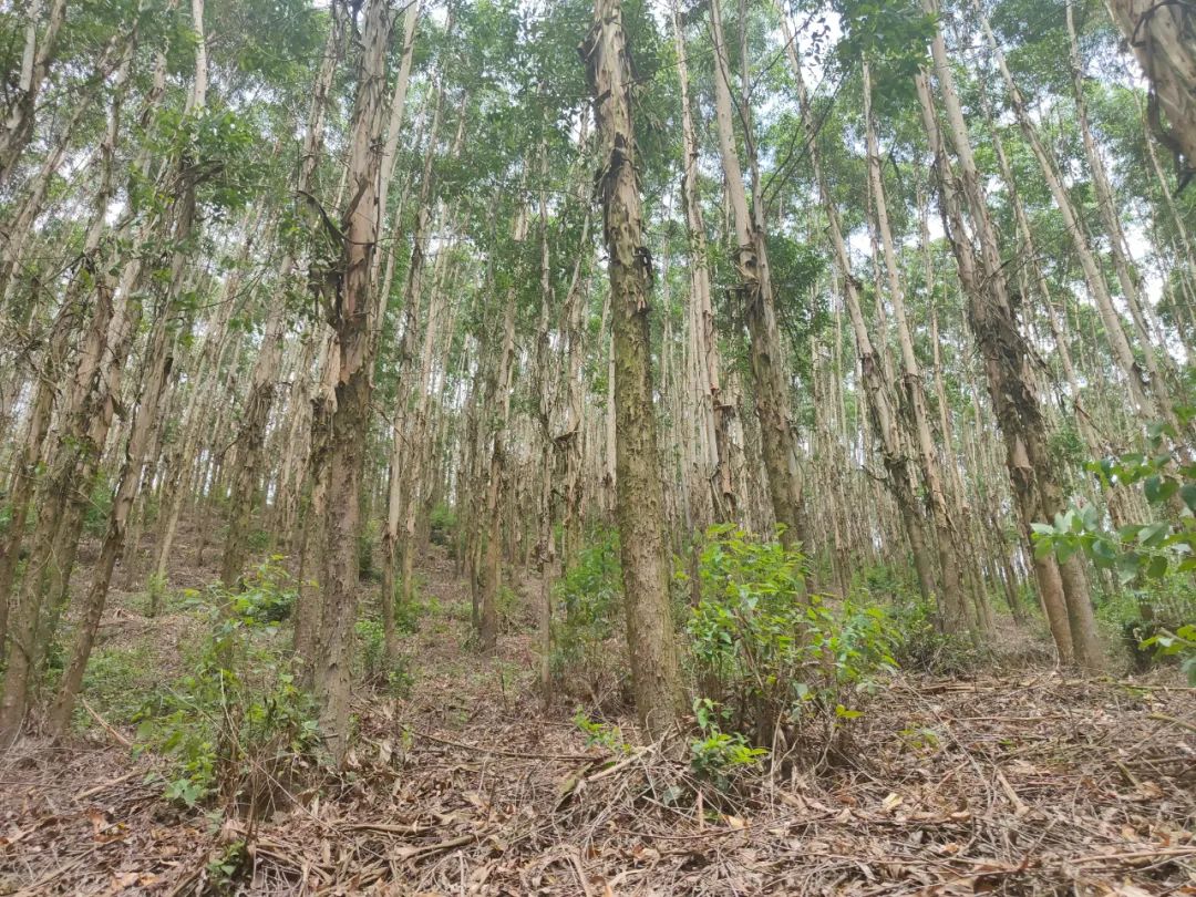 luck18xinli(中国区)-官方网站