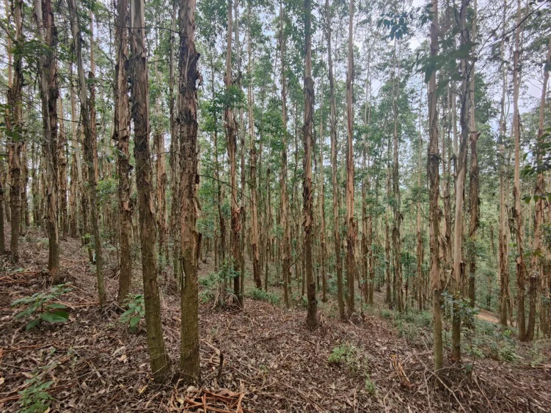 luck18xinli(中国区)-官方网站