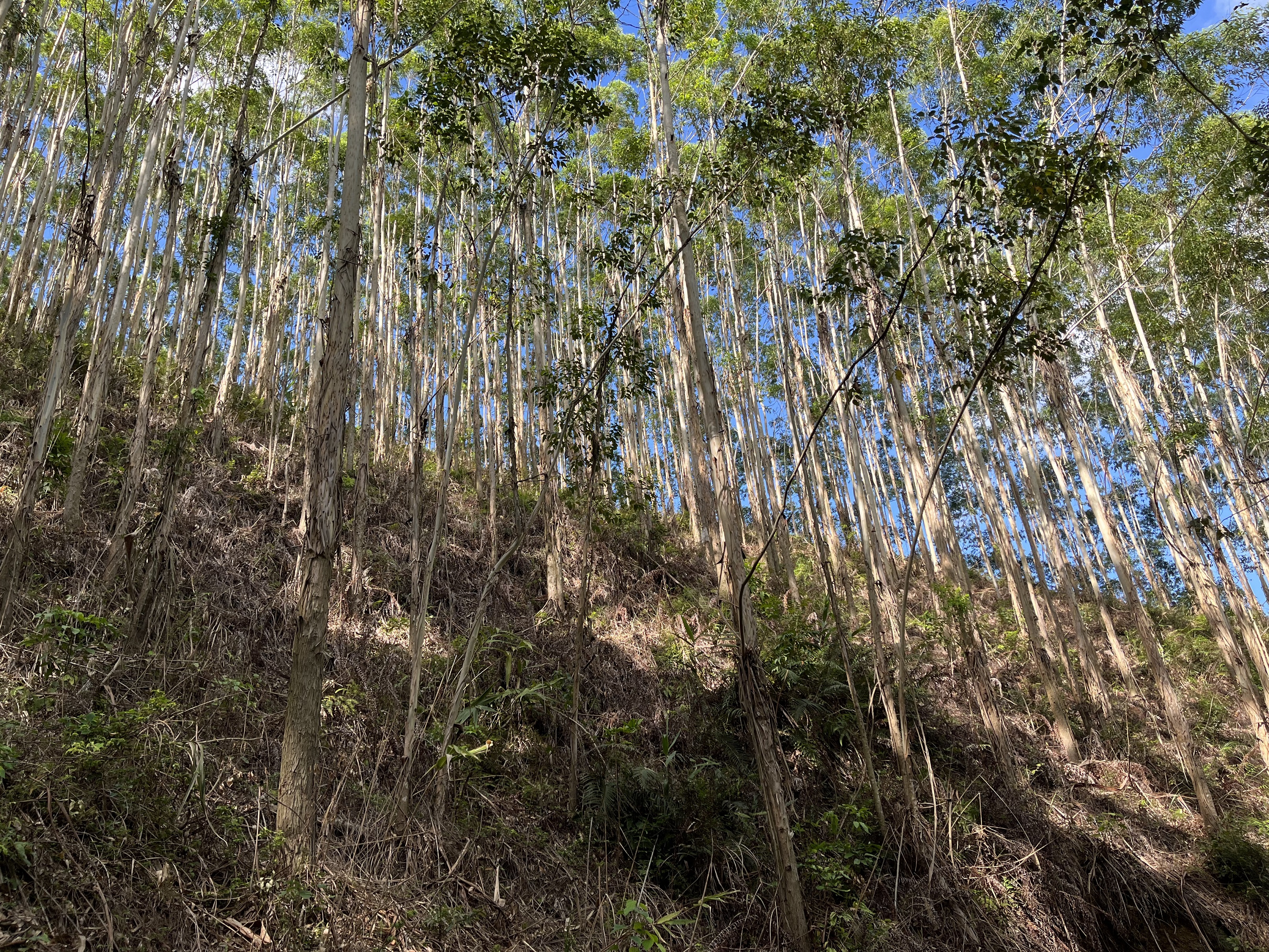 luck18xinli(中国区)-官方网站