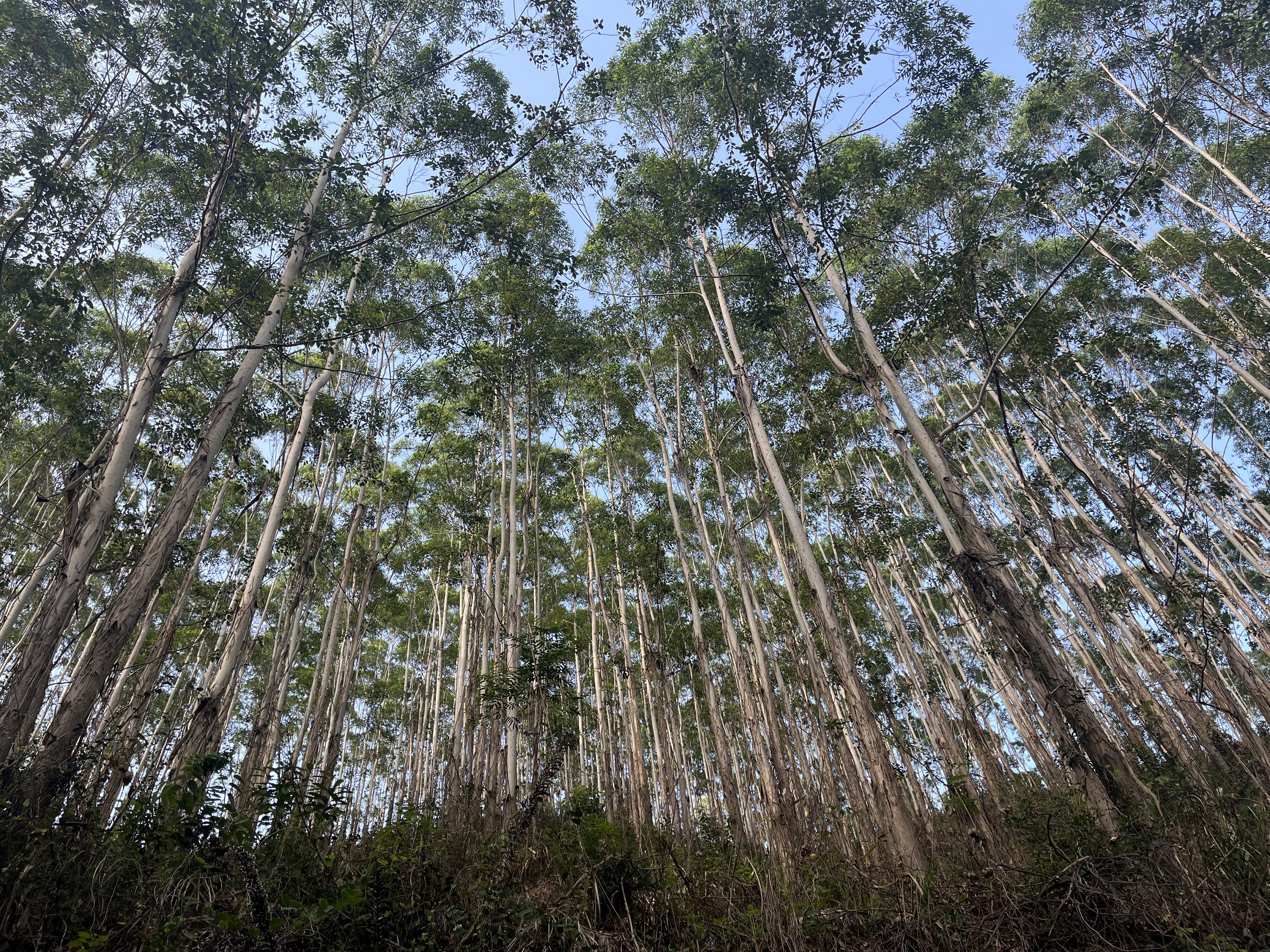 luck18xinli(中国区)-官方网站