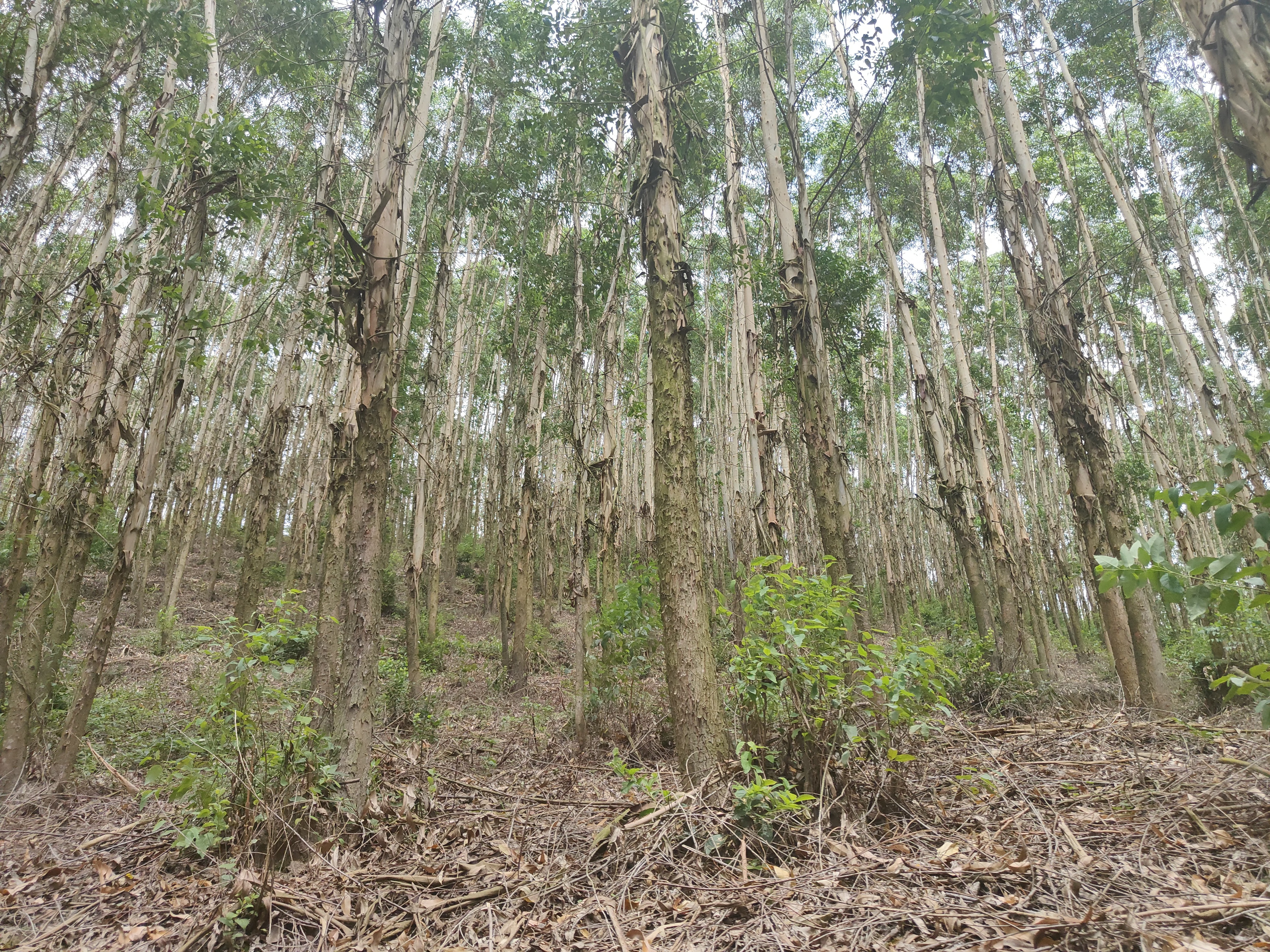 luck18xinli(中国区)-官方网站