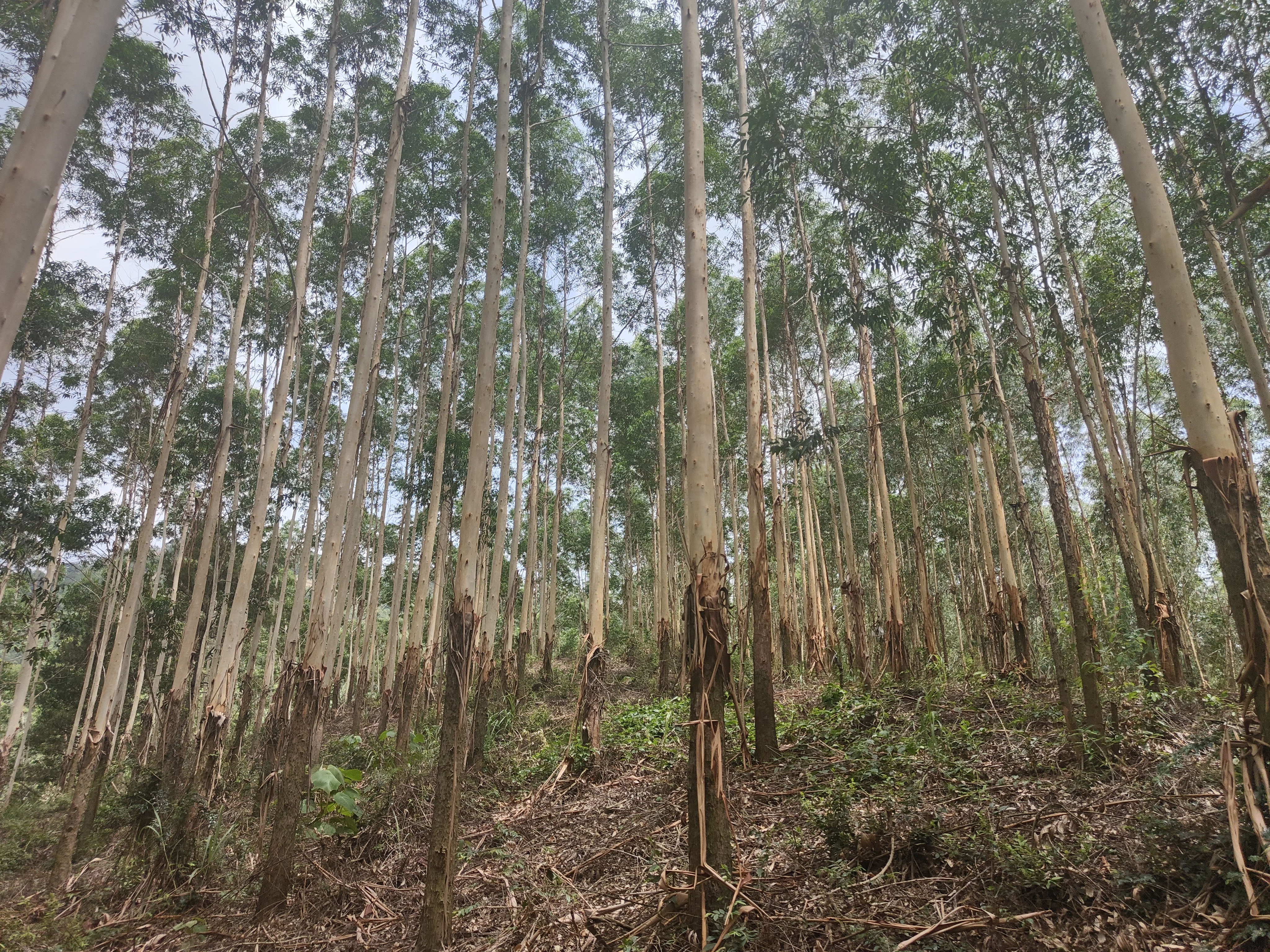 luck18xinli(中国区)-官方网站