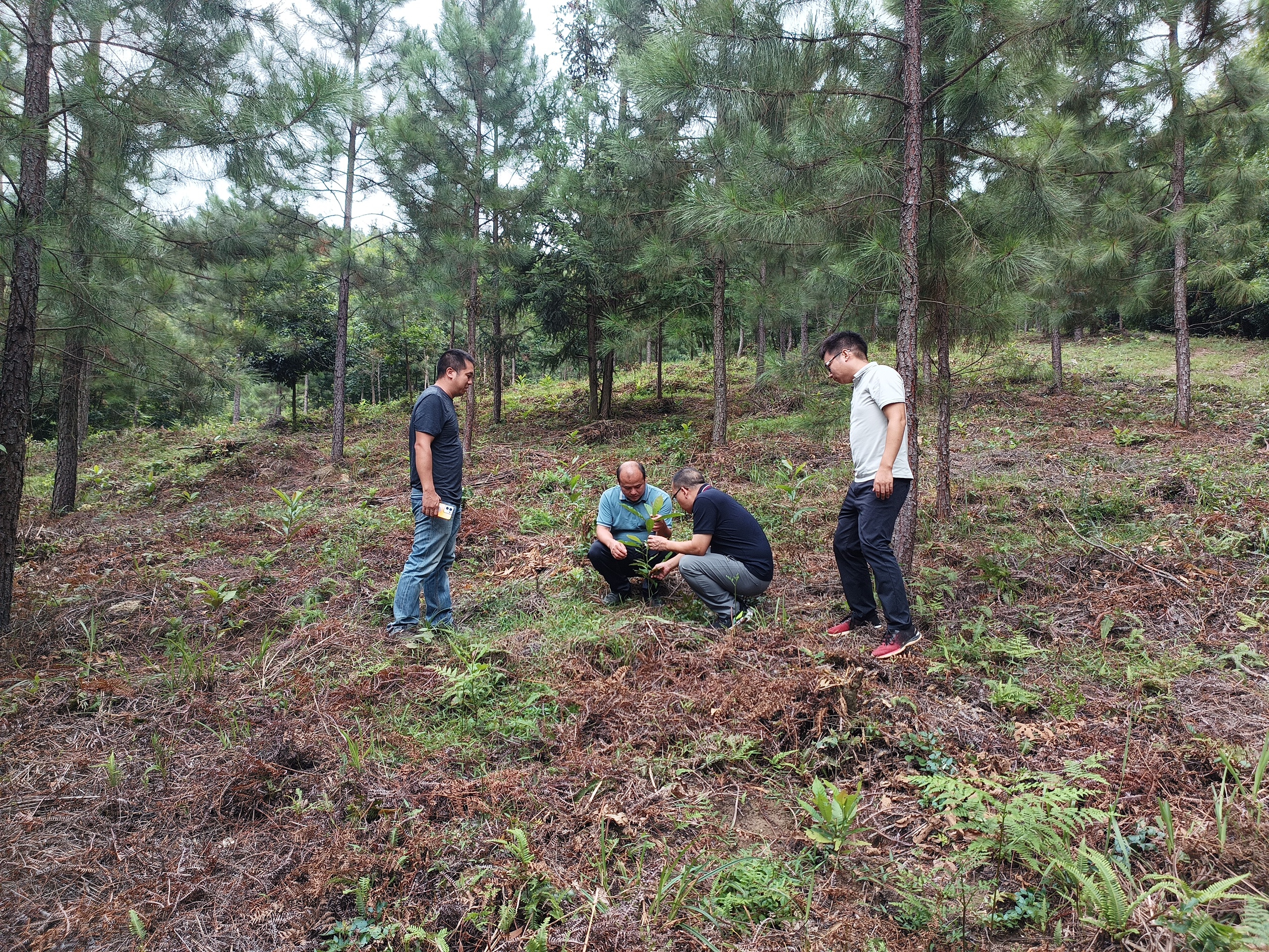 luck18xinli(中国区)-官方网站