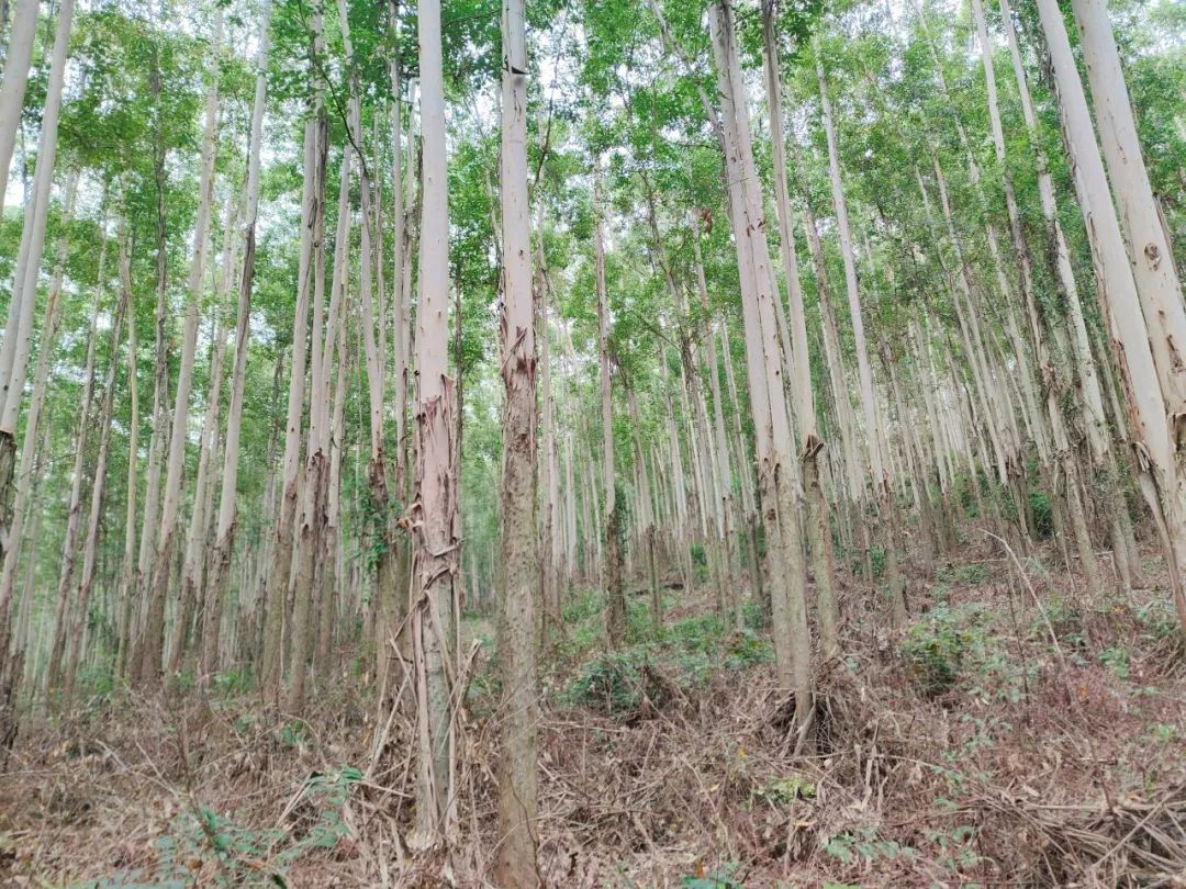 luck18xinli(中国区)-官方网站