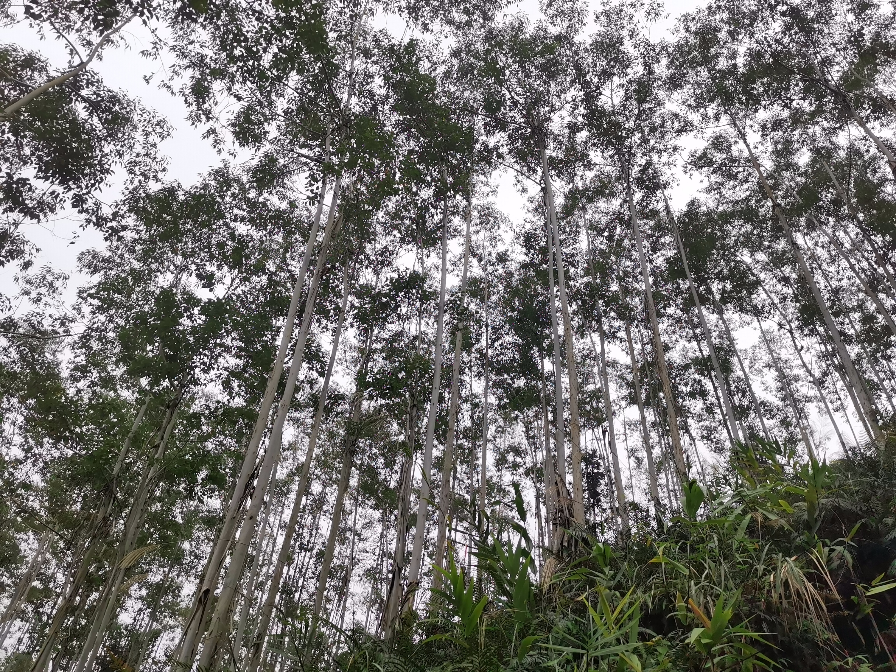 luck18xinli(中国区)-官方网站