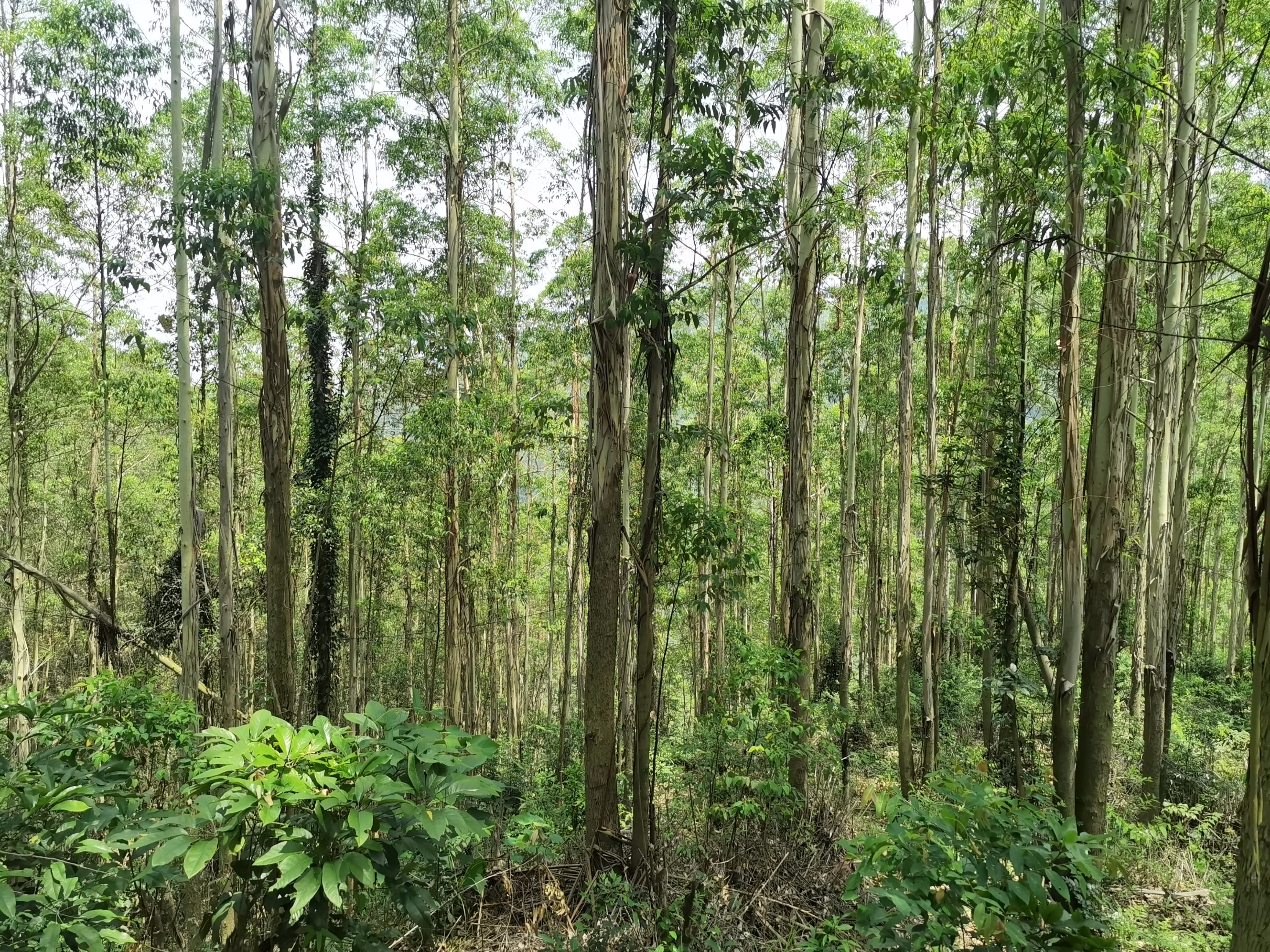 luck18xinli(中国区)-官方网站