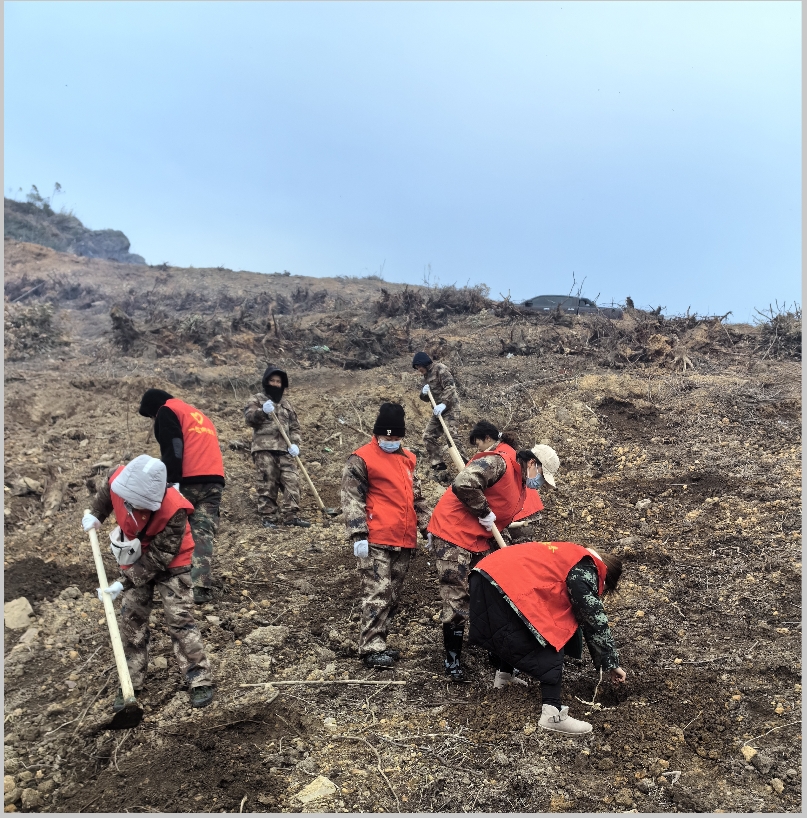 luck18xinli林业集团发展2024年春季造林备耕活动