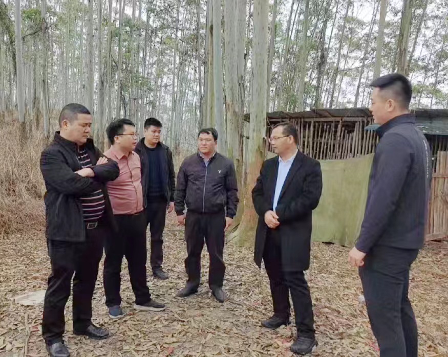 集团辅导春节前夕深刻林地查抄领导工作并走访慰问基层一线员工