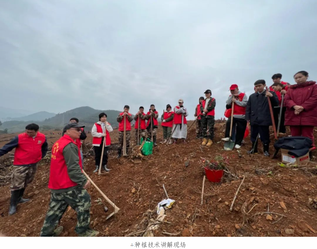 luck18xinli(中国区)-官方网站