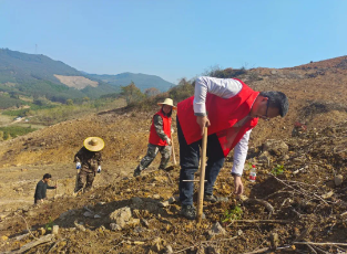 luck18xinli(中国区)-官方网站