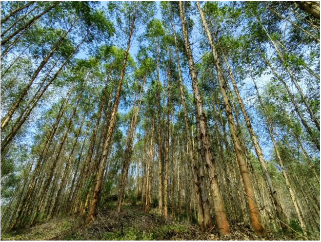 luck18xinli(中国区)-官方网站