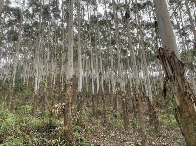 luck18xinli(中国区)-官方网站