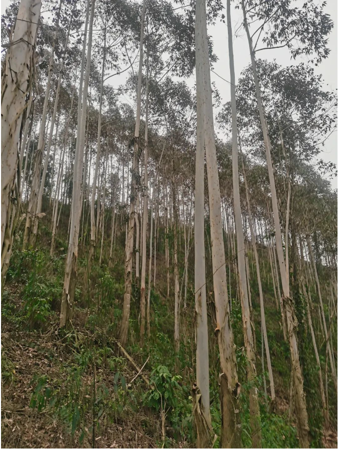 luck18xinli(中国区)-官方网站