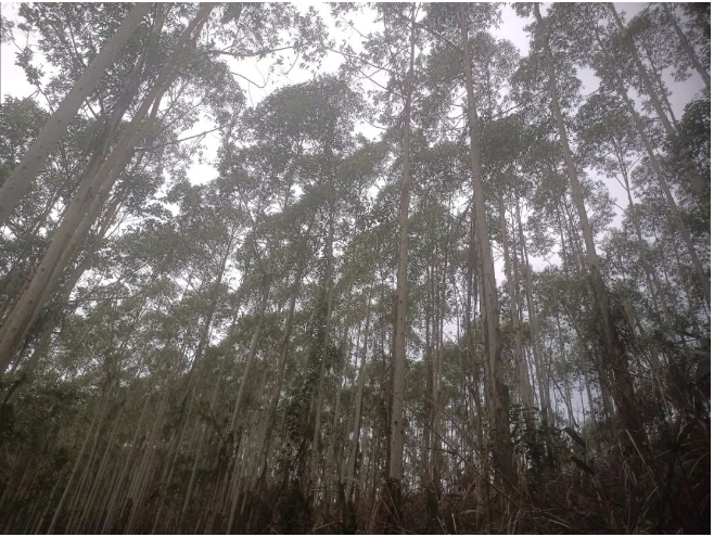 luck18xinli(中国区)-官方网站