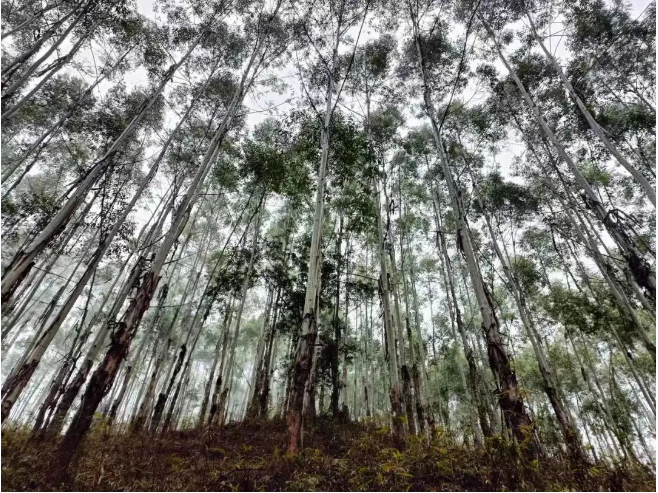 luck18xinli(中国区)-官方网站