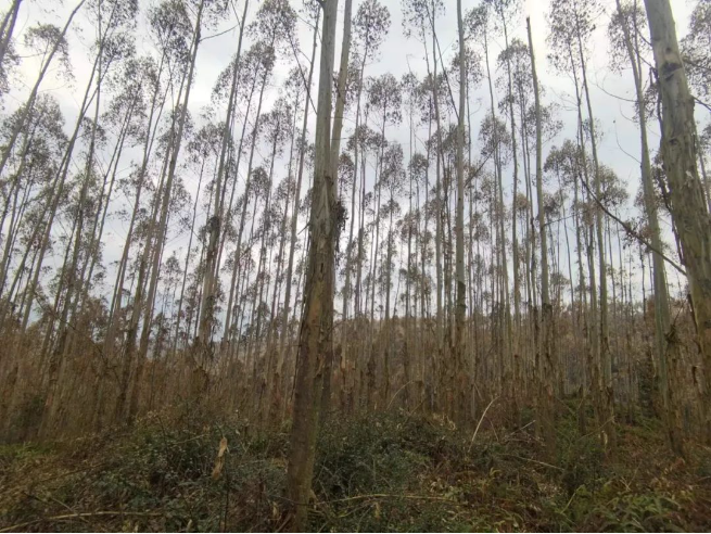 luck18xinli(中国区)-官方网站