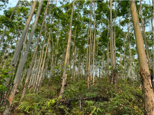 luck18xinli(中国区)-官方网站