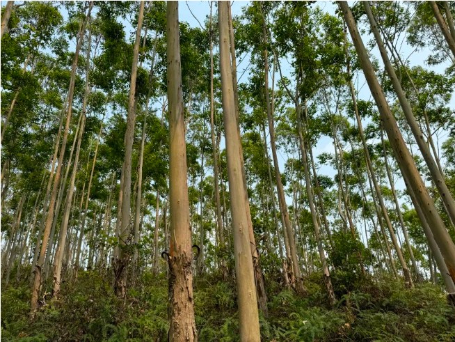 luck18xinli(中国区)-官方网站