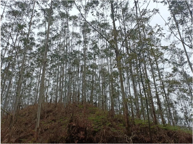 luck18xinli(中国区)-官方网站